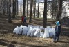 На субботнике в Милицейском парке собрали 50 мешков мусора и 2 грузовика сухих веток