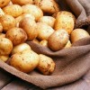 Торговые площадки по реализации картофеля и овощей